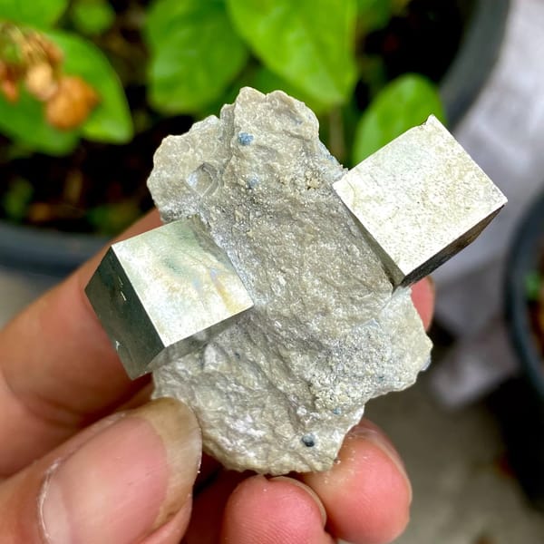 Two sharp brassy pyrite cubes on pale marl from Spain, view 2 of 9