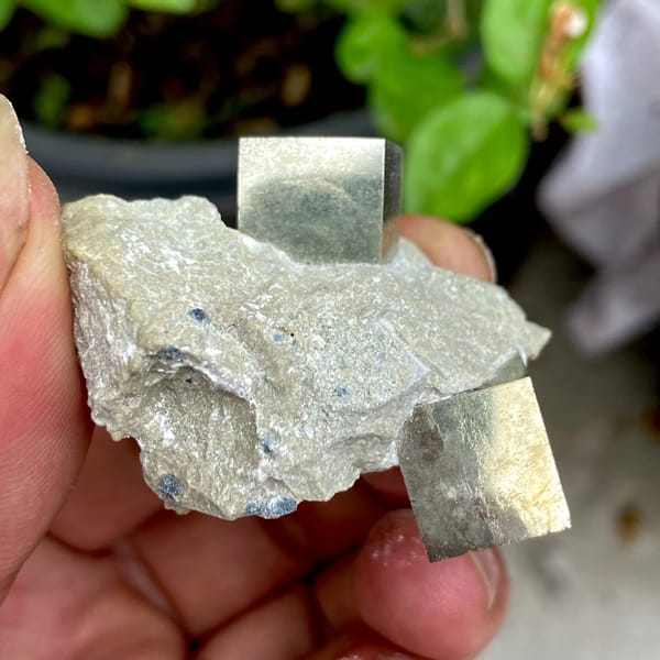 Two sharp brassy pyrite cubes on pale marl from Spain, view 3 of 9