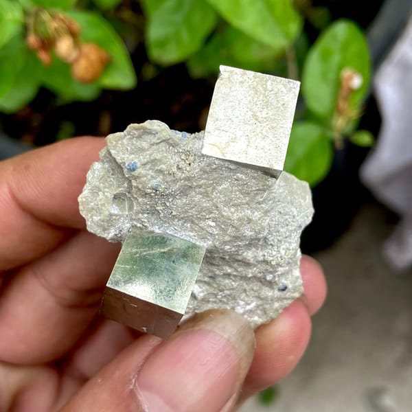 Two sharp brassy pyrite cubes on pale marl from Spain, view 8 of 9