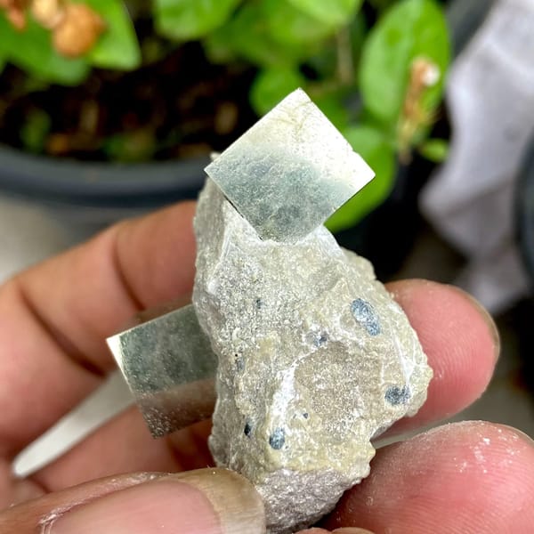 Two sharp brassy pyrite cubes on pale marl from Spain, view 9 of 9