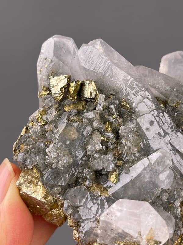 Pyrite natural specimen highlighting brassy crystals beside clear quartz clearly