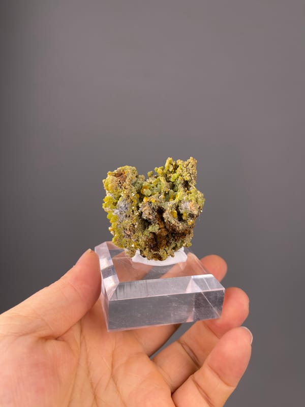 Pyromorphite specimen from Guangxi, China presenting olive hexagonal crystal cluster
