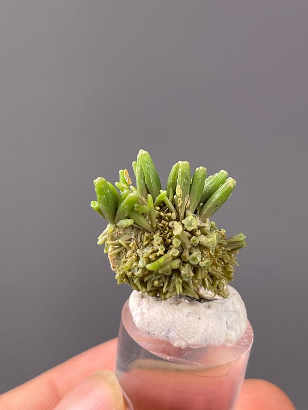 Pyromorphite specimen presenting green diverging hexagonal prisms clearly