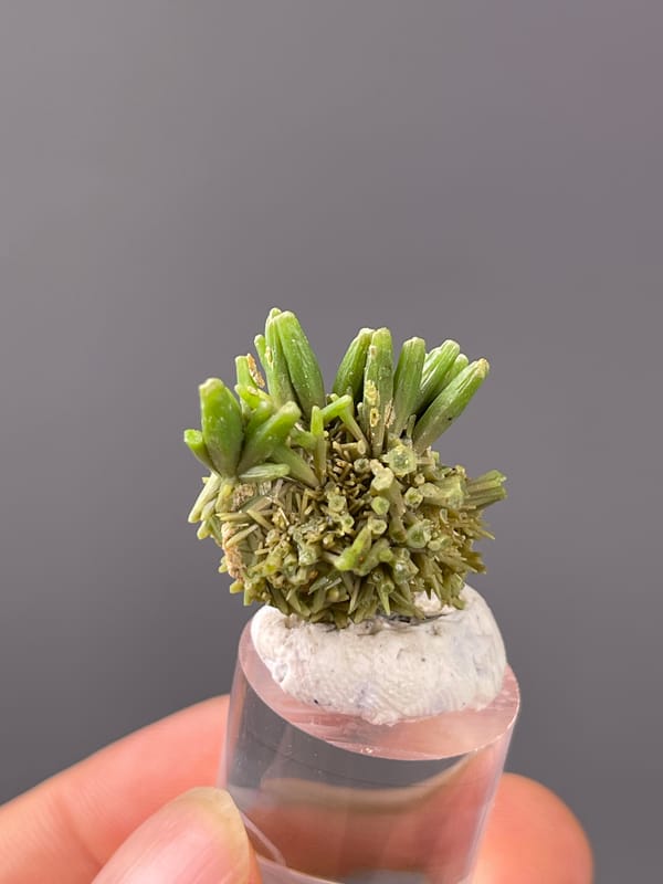 Green diverging hexagonal prisms clearly visible on this pyromorphite specimen