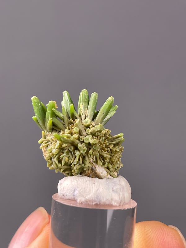 Pyromorphite natural specimen highlighting green diverging hexagonal prisms clearly