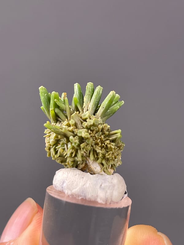Pyromorphite specimen characterized by green diverging hexagonal prisms visibly