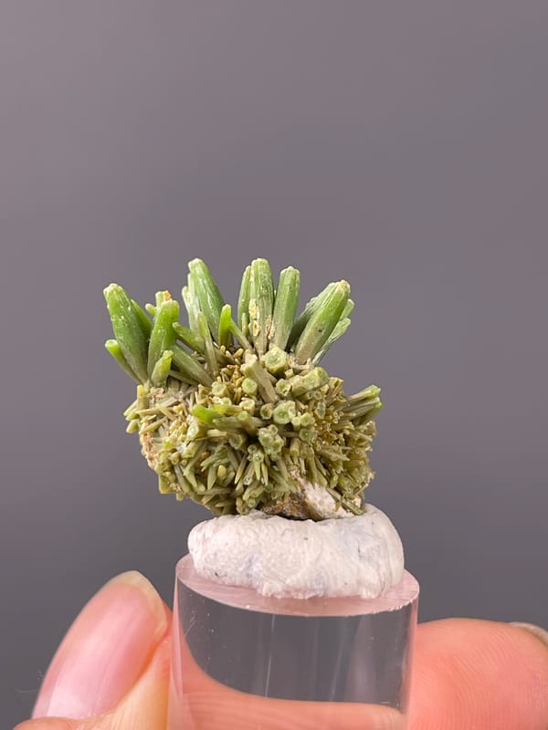Pyromorphite specimen bearing green diverging hexagonal prisms visibly