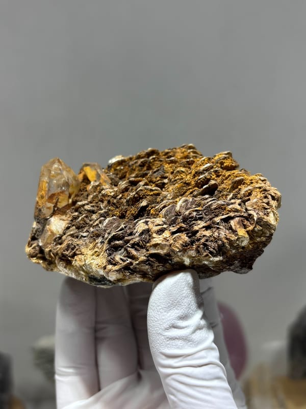 Brown mica plate with small quartz crystals from Xuebaoding, Sichuan, China, held in gloved hand