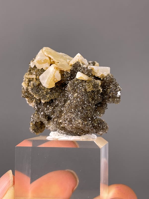 Quartz specimen displaying cream crystals over dark sulfides prominently