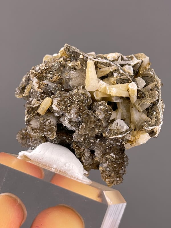 Quartz specimen characterized by cream crystals over dark sulfides visibly