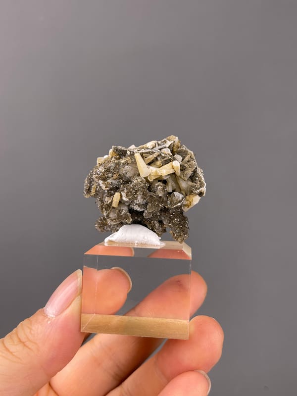 Quartz specimen bearing cream crystals over dark sulfides visibly