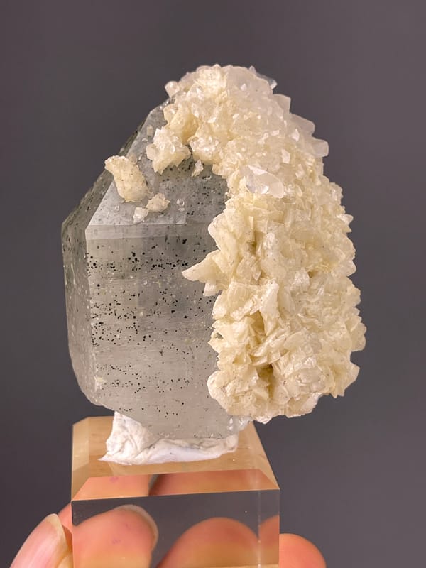 Quartz specimen from Yaogangxian Mine, Hunan, China showing smoky prism with white overgrowth