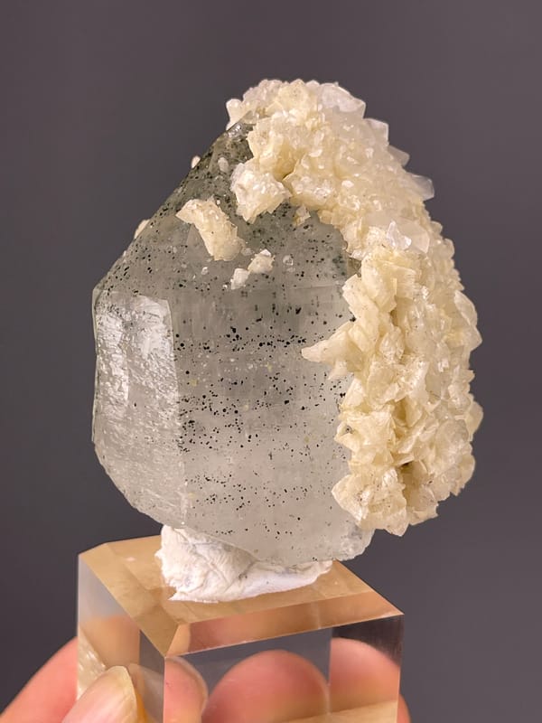 Quartz specimen from Yaogangxian Mine, Hunan, China presenting smoky prism with white overgrowth