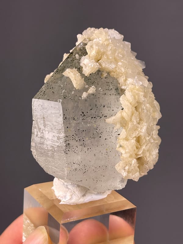 Smoky prism with white overgrowth visible on quartz specimen from Yaogangxian Mine, Hunan, China