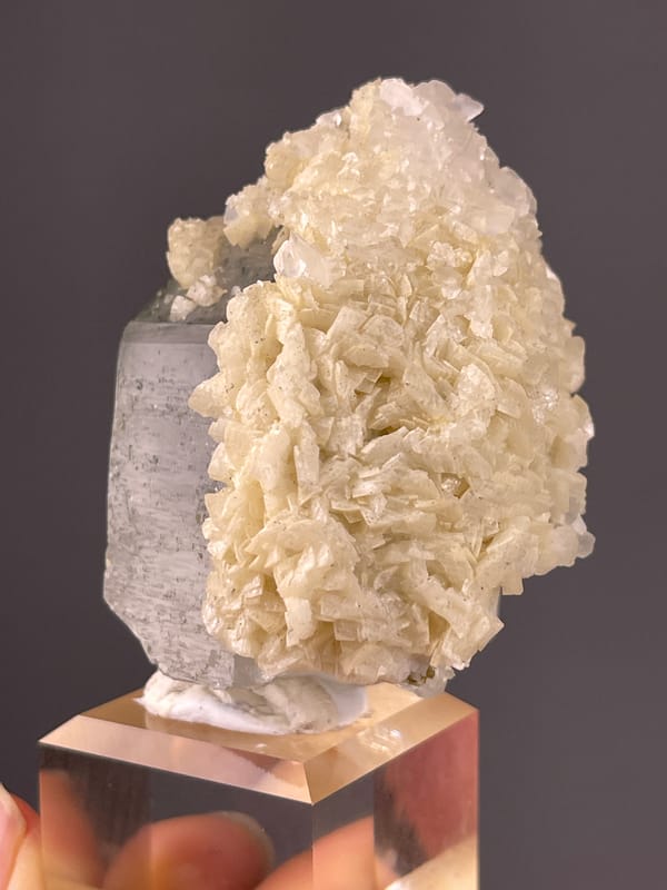 Smoky prism with white overgrowth on natural quartz specimen from Yaogangxian Mine, Hunan, China