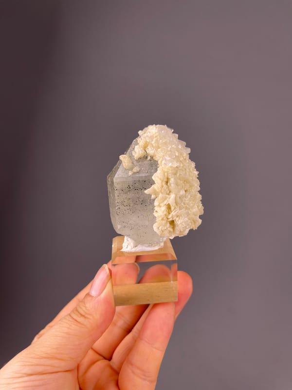 Quartz specimen from Yaogangxian Mine, Hunan, China, characterized by smoky prism with white overgrowth