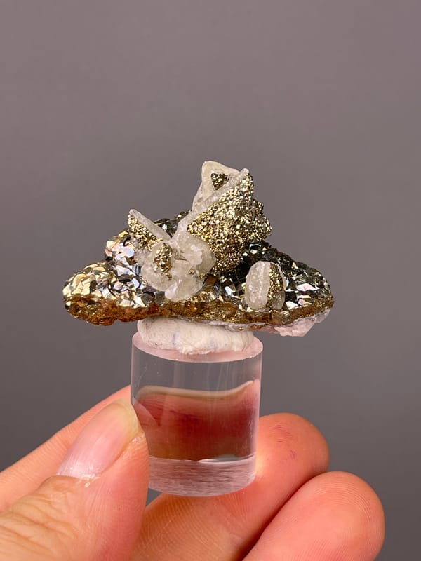 Quartz with Pyrite specimen featuring clear quartz points with brassy pyrite