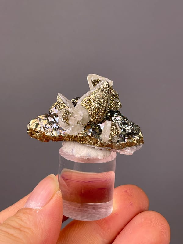 Quartz with Pyrite specimen showing clear quartz points with brassy pyrite