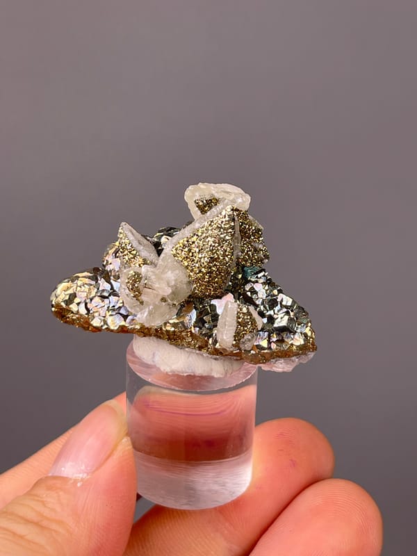 Quartz with Pyrite specimen presenting clear quartz points with brassy pyrite