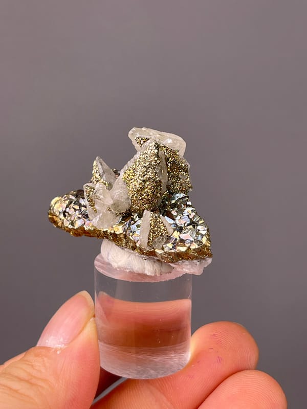 Clear quartz points with brassy pyrite visible on Quartz with Pyrite specimen one-of-a-kind natural piece