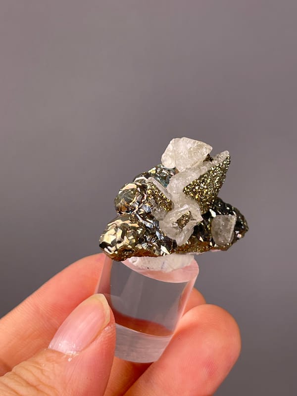 Quartz with Pyrite specimen displaying clear quartz points with brassy pyrite
