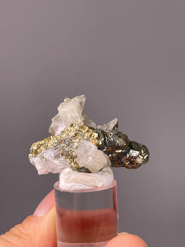Quartz with Pyrite specimen highlighting clear quartz points with brassy pyrite