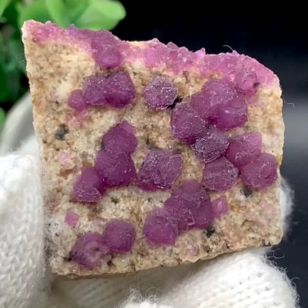Raspberry-purple fluorite octahedra on pale plate from Henan, China