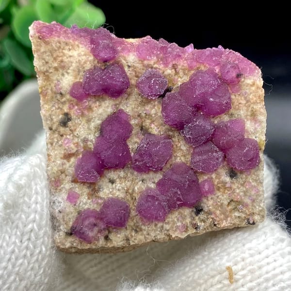 Raspberry-purple fluorite octahedra on pale plate from Henan, China, view 2 of 9
