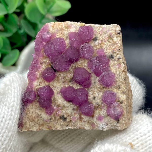 Raspberry-purple fluorite octahedra on pale plate from Henan, China, view 4 of 9