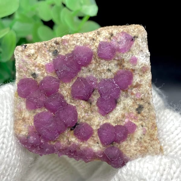 Raspberry-purple fluorite octahedra on pale plate from Henan, China, view 6 of 9
