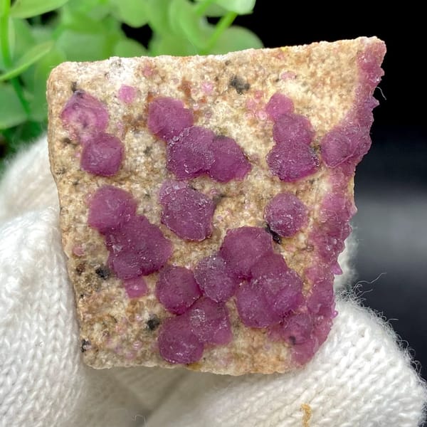 Raspberry-purple fluorite octahedra on pale plate from Henan, China, view 8 of 9
