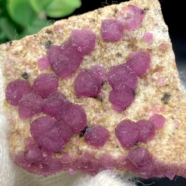 Raspberry-purple fluorite octahedra on pale plate from Henan, China, view 9 of 9