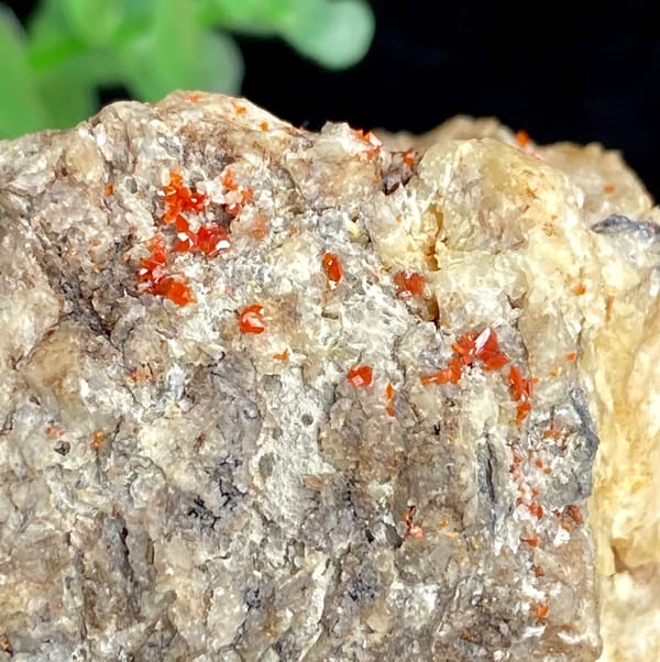Red wulfenite spots over pale matrix block from Sichuan, China, view 4 of 9