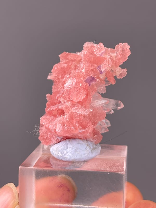 Rhodochrosite specimen from Guangxi, China featuring pink carbonate cluster with clear quartz