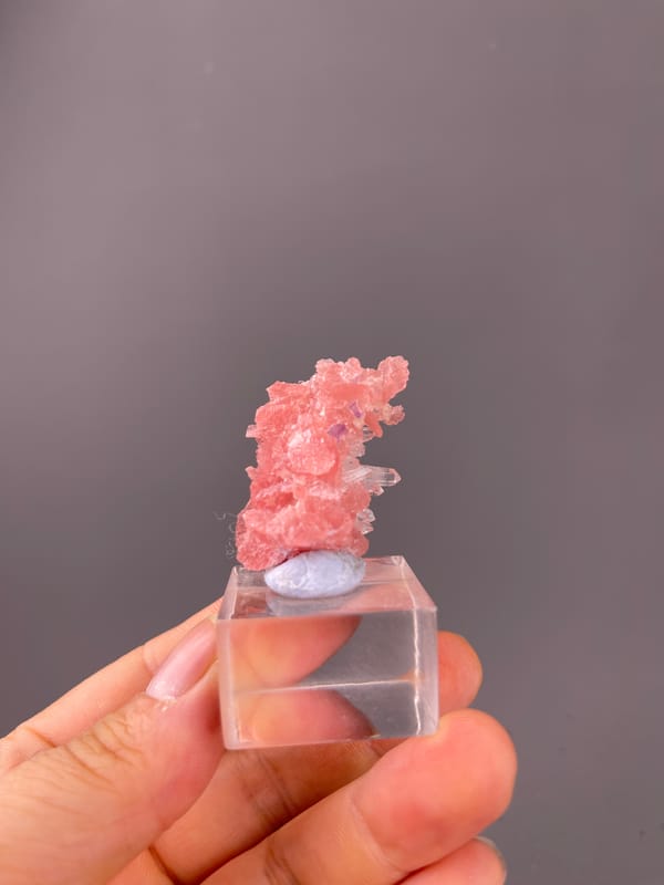 Rhodochrosite specimen from Guangxi, China highlighting pink carbonate cluster with clear quartz