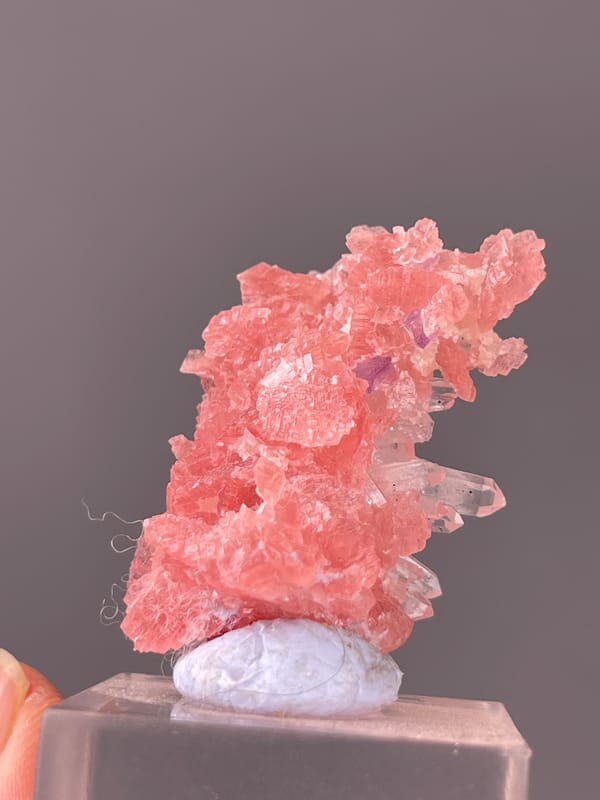 Rhodochrosite specimen from Guangxi, China bearing pink carbonate cluster with clear quartz