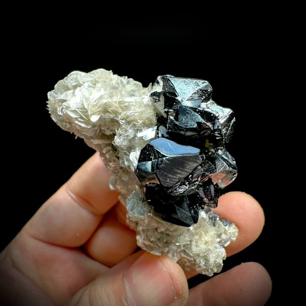 Row of mirror-black cassiterite crystals on muscovite from Xuebaoding, Sichuan, China