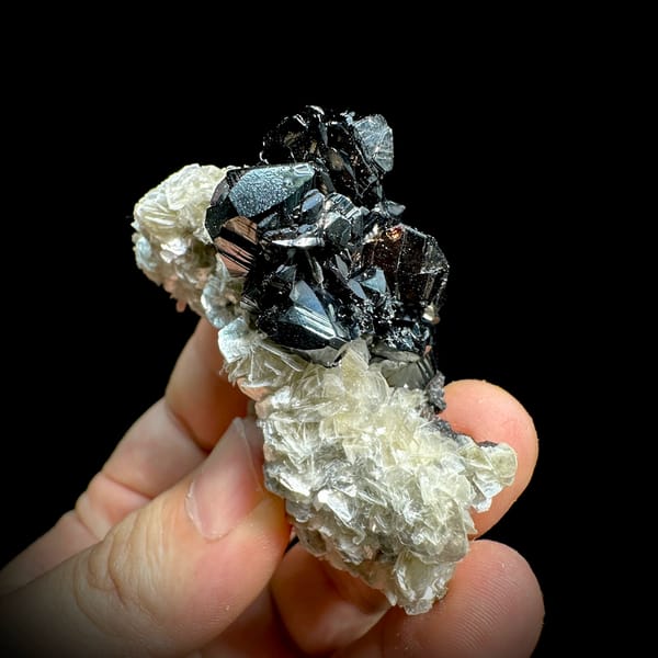 Row of mirror-black cassiterite crystals on muscovite from Xuebaoding, Sichuan, China, close-up of the crystal faces