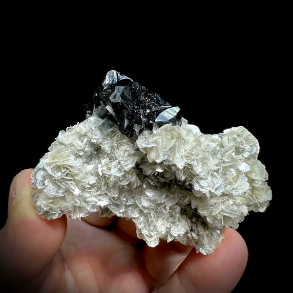 Row of mirror-black cassiterite crystals on muscovite from Xuebaoding, Sichuan, China, reverse side