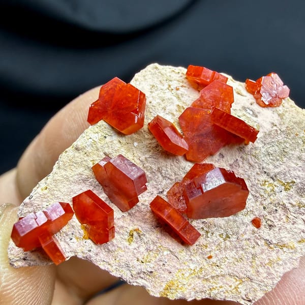 Scarlet vanadinite crystals scattered on pale matrix from Morocco, view 3 of 6