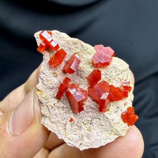 Scarlet vanadinite crystals scattered on pale matrix from Morocco, view 4 of 6