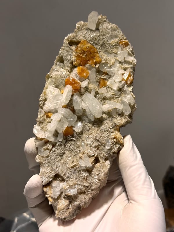 Mica plate with scheelite, aquamarine and fluorite from Xuebaoding, Sichuan, China, held in gloved hand