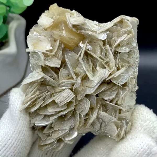 Honey scheelite crystal on silvery mica blades from Sichuan, China
