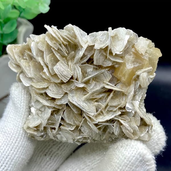 Honey scheelite crystal on silvery mica blades from Sichuan, China, view 2 of 9