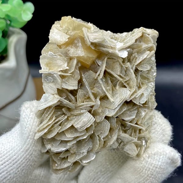 Honey scheelite crystal on silvery mica blades from Sichuan, China, view 9 of 9