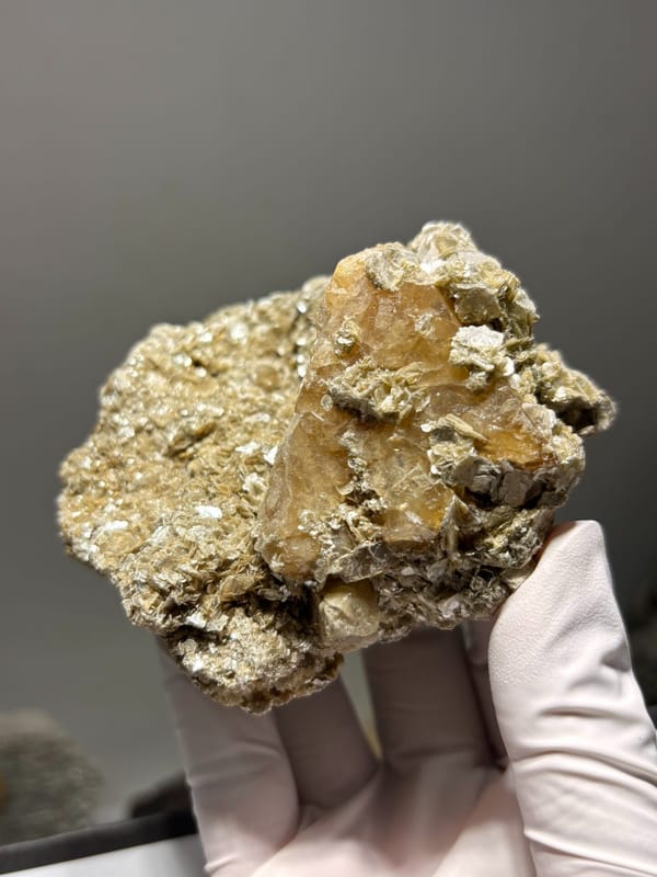 Golden mica plate with scheelite from Xuebaoding, Sichuan, China, held in gloved hand