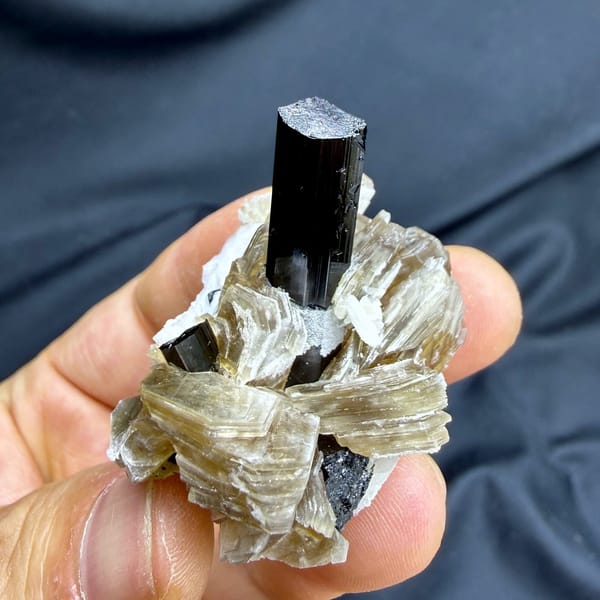 Black schorl tourmaline prism in feldspar and mica from Pakistan, view 3 of 6