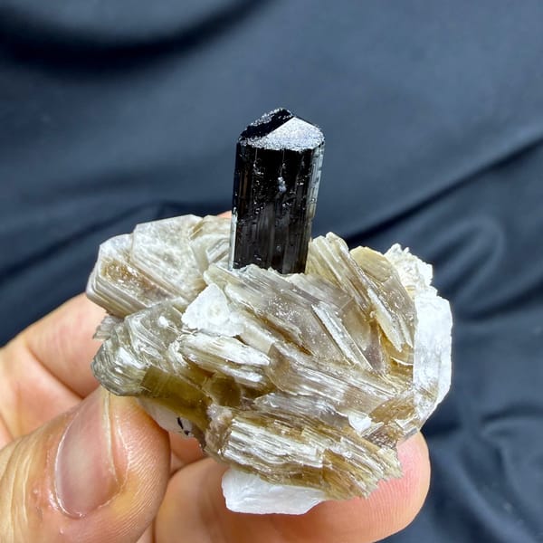 Black schorl tourmaline prism in feldspar and mica from Pakistan, view 4 of 6