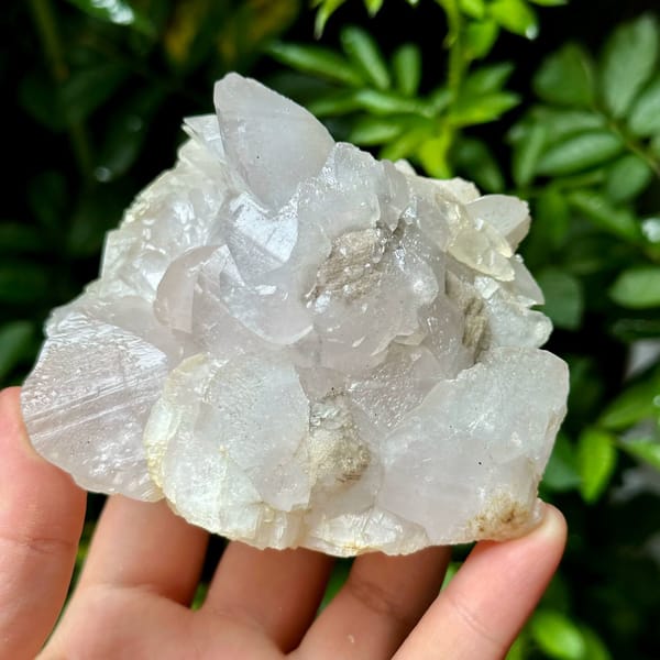 Shell-shaped calcite crystals, from Yaogangxian Mine, Hunan, China, front view in daylight