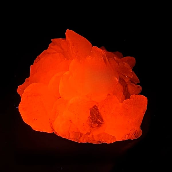 Shell-shaped calcite crystals, from Yaogangxian Mine, Hunan, China, front view in daylight, view 2 of 10